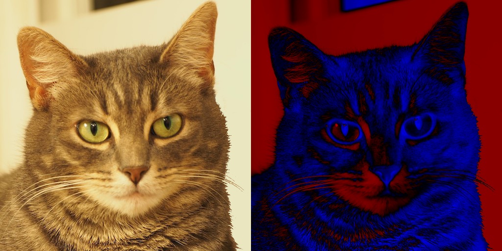 Image and Loss Function