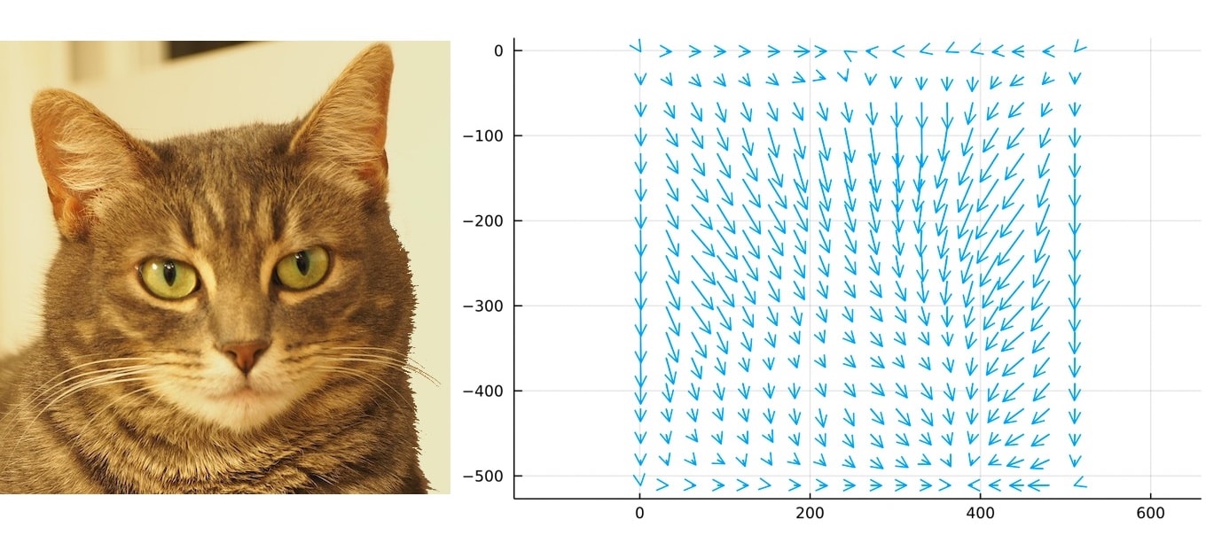 Image and Vector Field